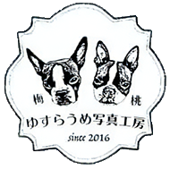 ゆすらうめ写真工房